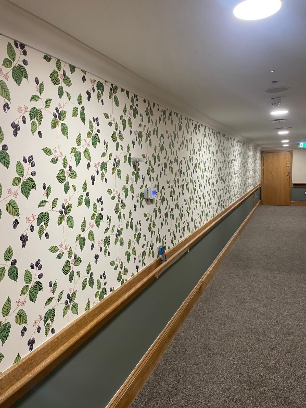 Local Painters & Decorators North London MSL Decorators